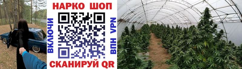 Купить Липки Alpha PVP  Псилоцибиновые грибы  ГАШИШ  МЕФ  Конопля  Кокаин 