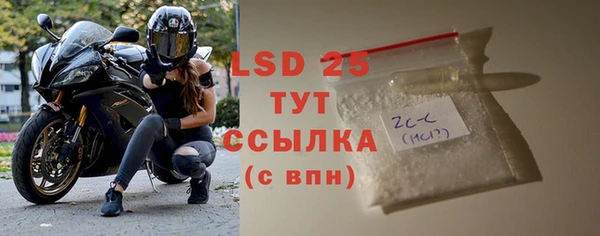 PSILOCYBIN Алзамай