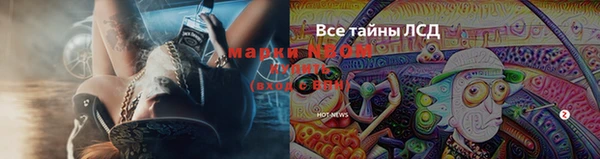 PSILOCYBIN Алзамай