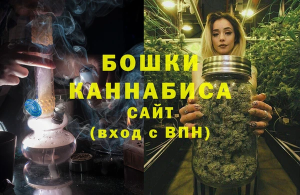PSILOCYBIN Алзамай