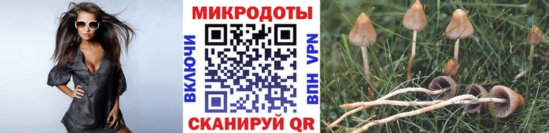 где найти наркотики  Липки  Псилоцибиновые грибы Cubensis 